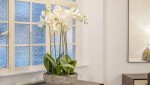 Images for Strathmore Court,  Park Road, London