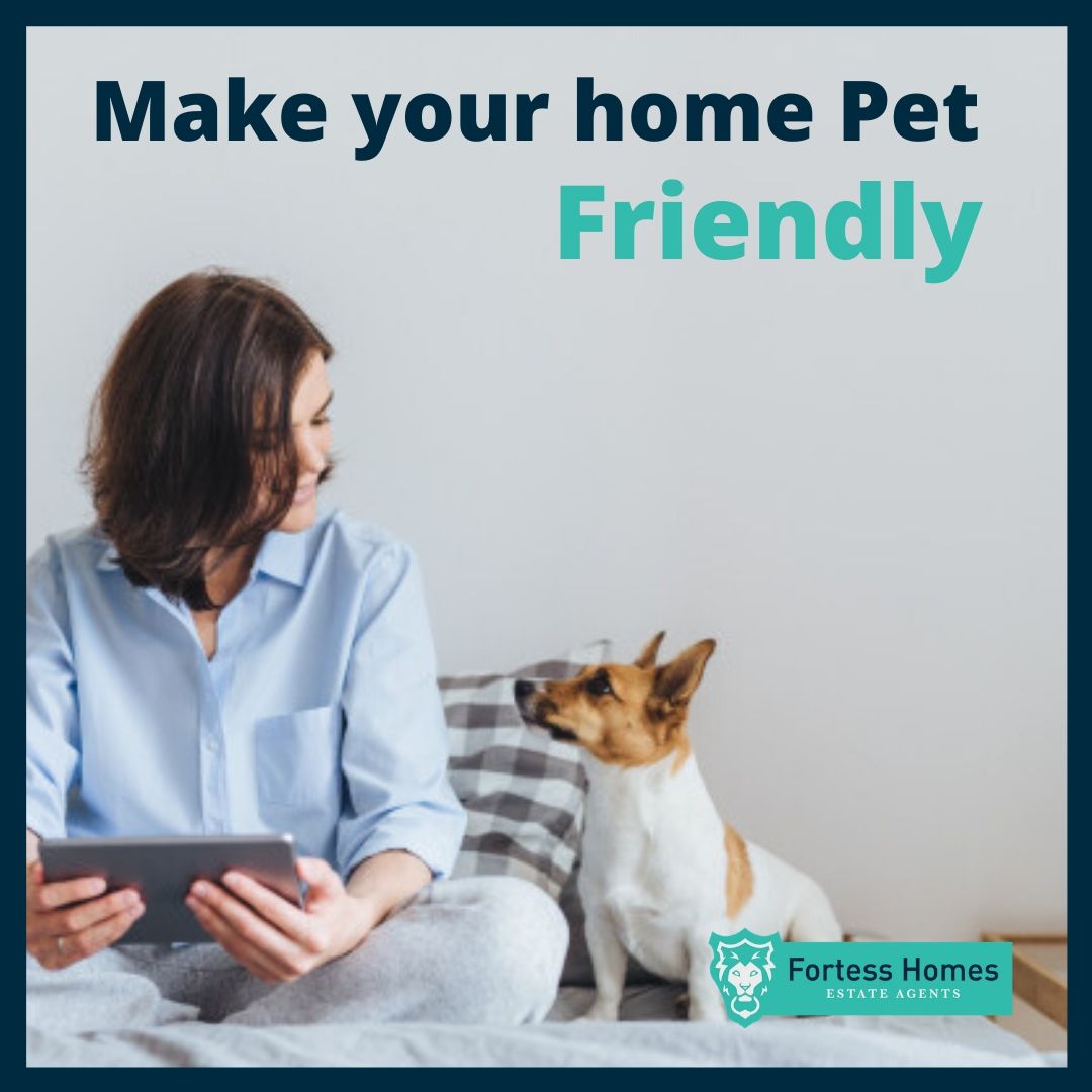 Make your home Pet Friendly