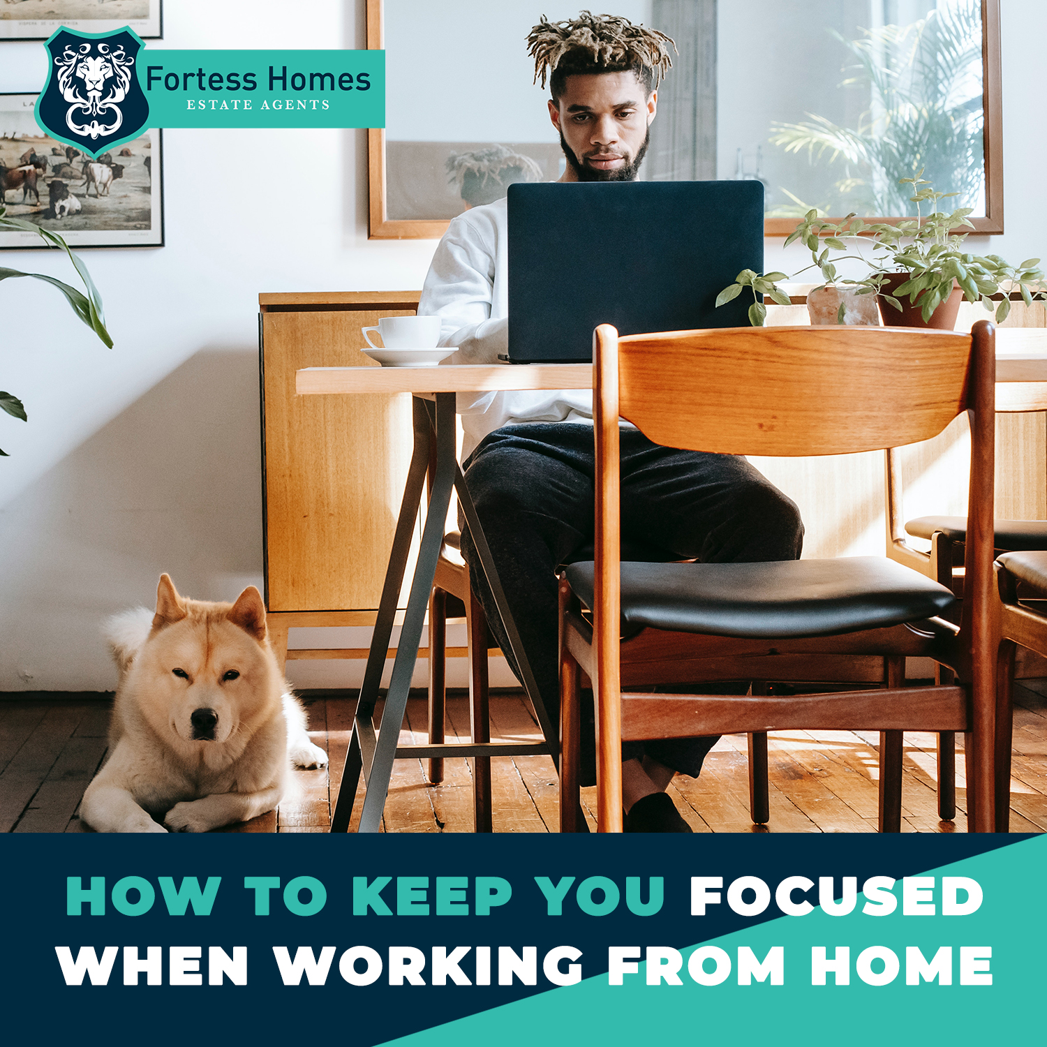 HOW TO KEEP YOU FOCUSED WHEN WORKING FROM HOME